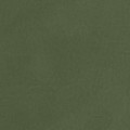 S41 - lindgrün, matt, mittel genarbt, softtouch - +172,90 €