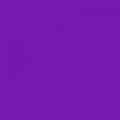 Korpus violett